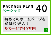 ベーシックプラン　30万円