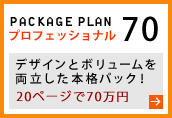 プロフェッショナルプラン　70万円