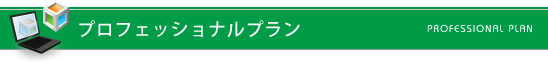 プロフェッショナルプラン